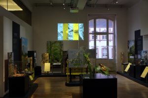 Digitale Insektengallerie. Besuchende können Ihre selbstgeschossenen Insektenfotos hochladen.