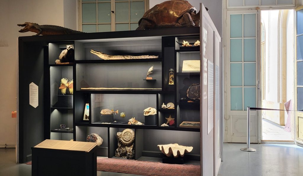 Die Schatzkammer. Die Beleuchtung kann per App für jedes Objekt individuell angepasst werden.